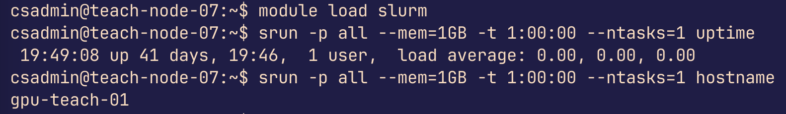 Sample srun